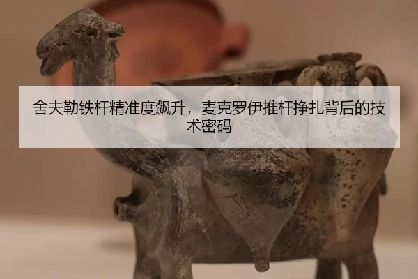 she-fu-lei-tie-gan-jing-zhun-du-biao-sheng-mai-ke-luo-yi-tui-gan-zheng-zha-bei-hou-de-ji-shu-mi-ma-2-192.jpg